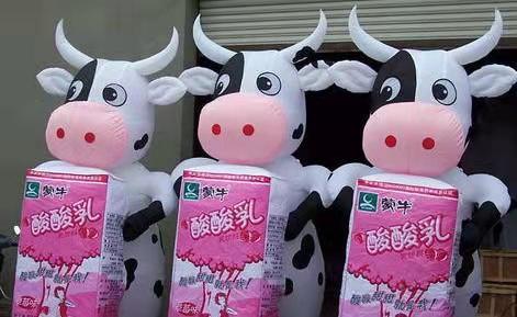 鹤壁牛奶厂广告气模